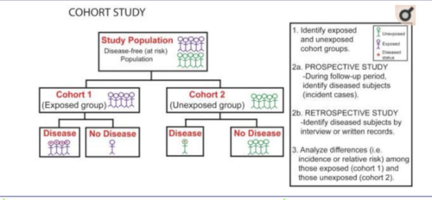 <p>Groups of subjects with a common characteristic (i.e. year of birth) are studied over a long period of time to follow trends of the relation/association between causal factors and <span style="text-decoration:underline">development of an illness</span>, or the prevalence of a disease.</p><p></p><p>- The study could be <strong><span style="text-decoration:underline">prospective or retrospective</span></strong></p>