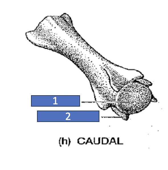 <p>2</p>