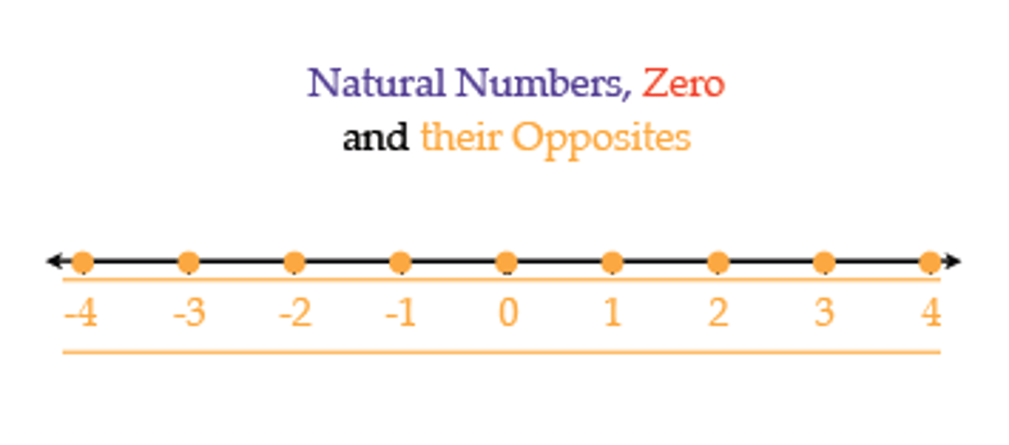 <p>counting numbers, negative numbers, and 0</p>
