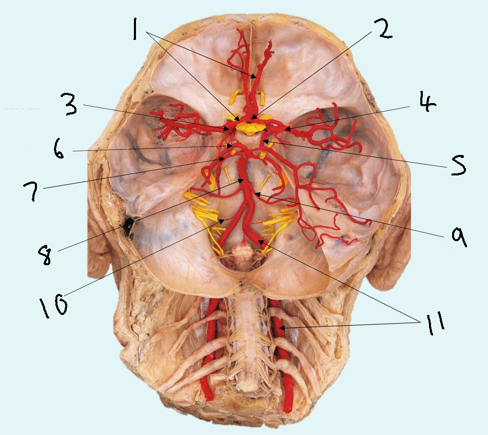<p>What is 4?</p>