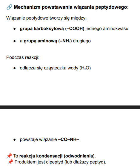 <p>gdy grupa karboksylowa jednego aminokwasu łączy się z grupą aminową drugiego aminokwasu podczas reakcji odłącza się cząsteczka wody:  -CO-NH-, jest to reakcja kondensacji (odwodnienia), produktem jest dipeptyd- dłuższy peptyd</p>