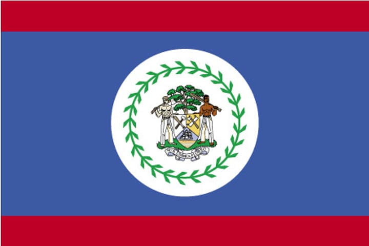 <p>The colors are respectively those of the country's national parties, the People's United Party (blue), and United Democratic Party (Belize) (red).</p><p>The 50 leaves recall 1950, the year PUP came to power.</p><p>The coat of arms with the figures (a mestizo and a man of African descent), tools and mahogany trees = the logging industry that first led to British settlement there. </p><p>Sub Umbra Floreo = "Under the Shade I Flourish", the national motto.</p>