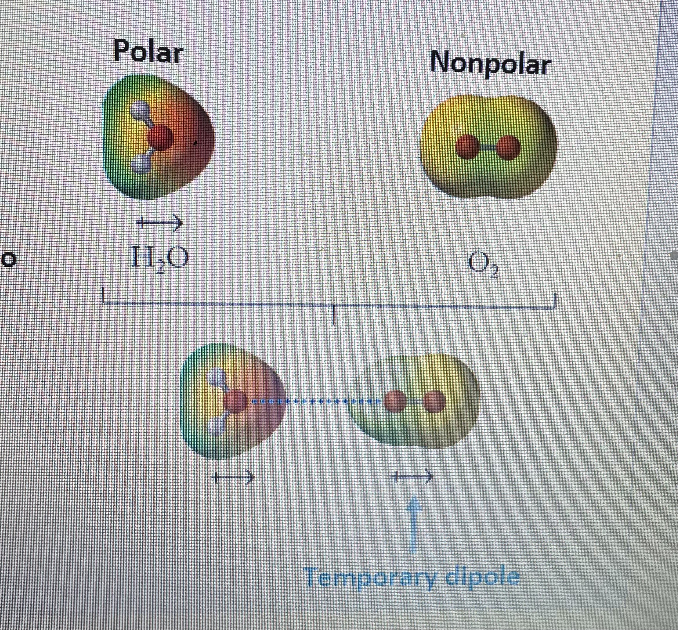 <p>-involves polar molecule &amp; np molecule -polar molec is the “electric field” &amp; np molec is “induced” (causing e^- density to shift) to have temporary dipole -ex: H2O &amp; O2 (a dipole &amp; O2 is np)</p>