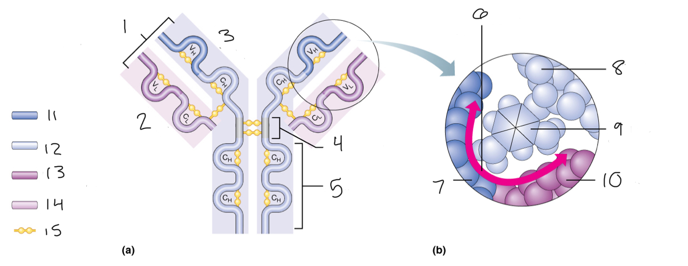 <p>4</p>