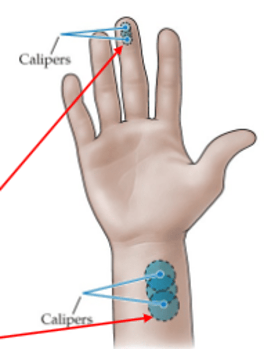 <p><strong>The ability to discriminate detailed stimulus</strong>. Only a single point of contact is perceived if within the receptive field of a single sensory neuron, two are perceived if extended across the fields of two different sensory neurons.</p><p></p><p>Receptive fields map to areas of the body and their density varies greatly.</p>