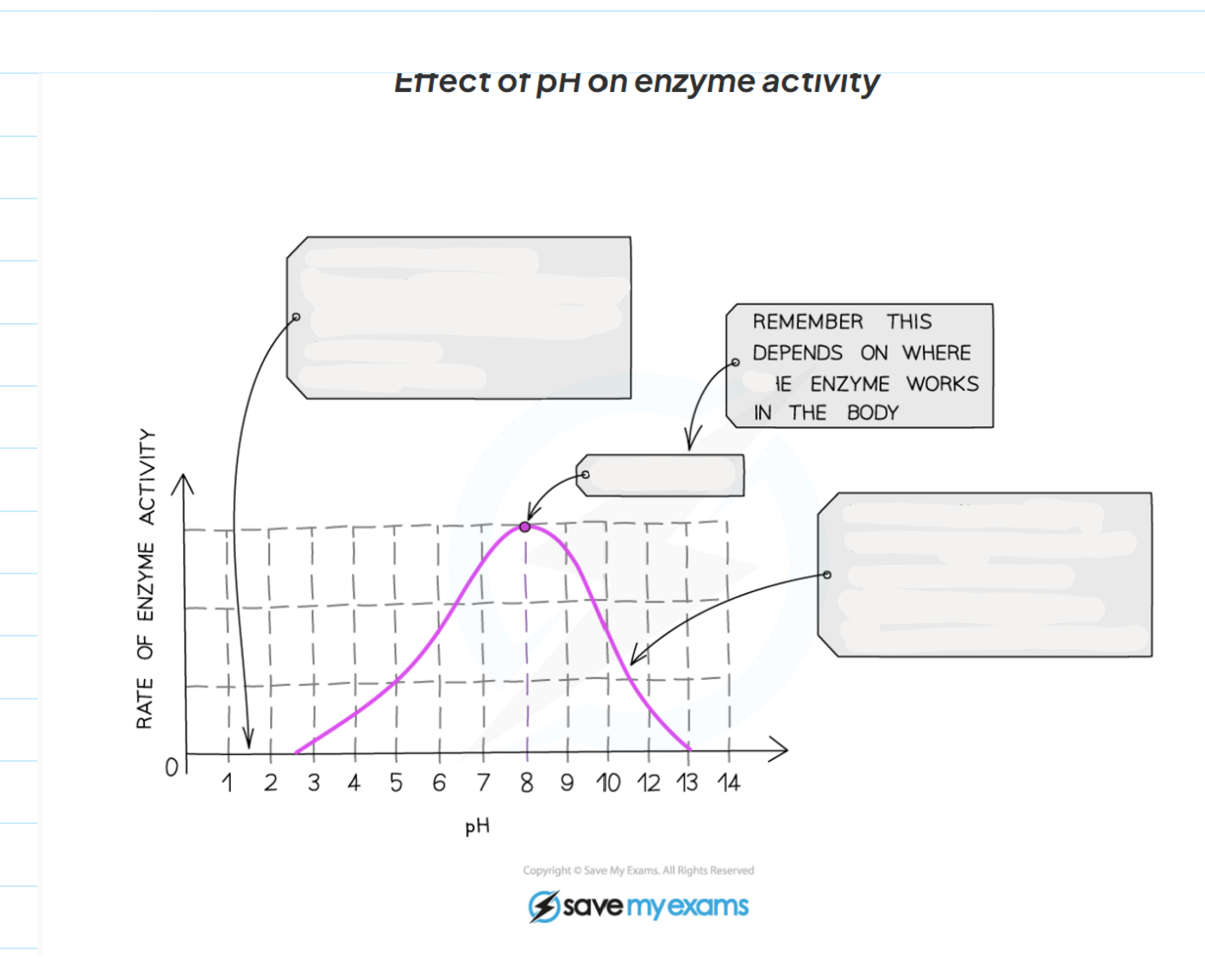 <p>1.9 Label this diagram of the affect of pH on enzyme activity</p>