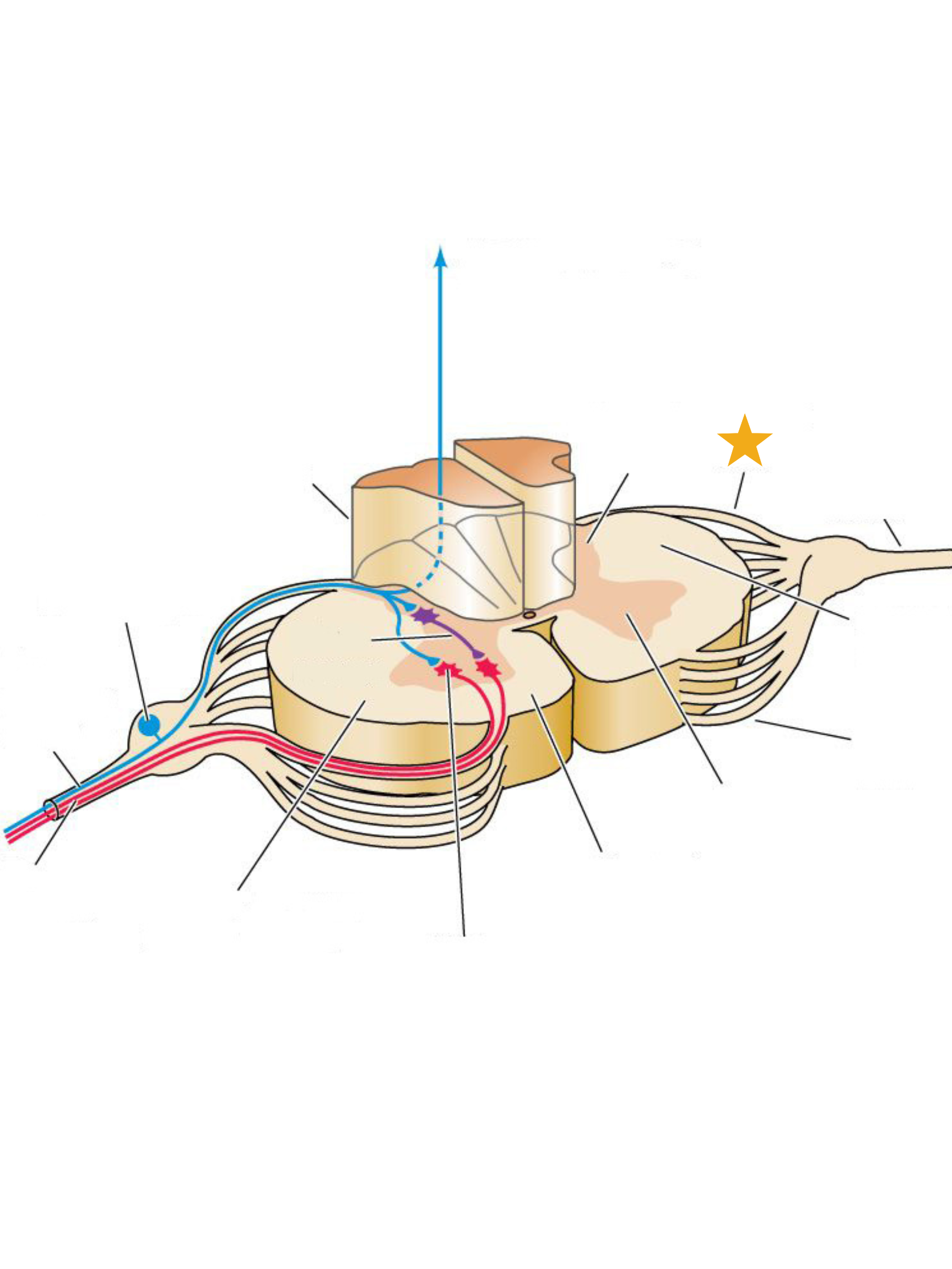 <p>What is this structure?</p>