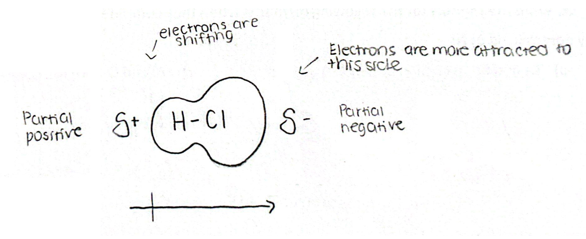 <ul><li><p>Forms when EN = 0.5-1.8</p><ul><li><p>When e- are pulled more towards one atom bc of higher EN, one side of the moc becomes more negative than the other side (unequal sharing of e-)</p><ul><li><p>Causes dipole (One side more negative)</p></li></ul></li></ul></li></ul><p></p>