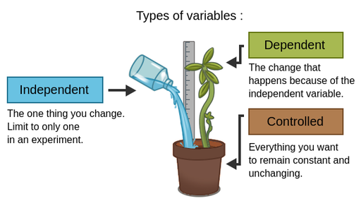 <p>Factor that is purposely manipulated to produce a change in an experiment (predictor/treatment variable).</p>