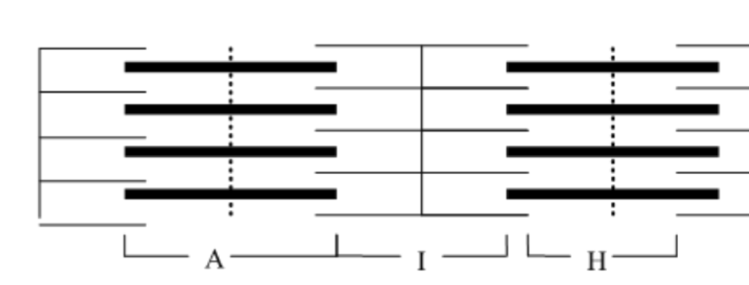 <p>I band</p>