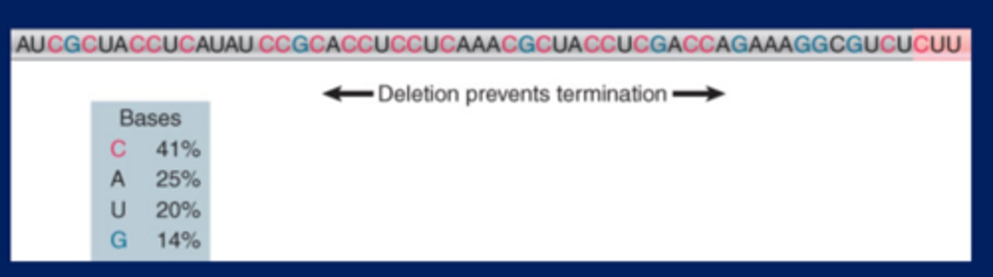 <p>-Rho factor is a site-specific terminator protein</p><p>-A rut site has a sequence rich in C and poor in G</p><p>preceding the actual site(s) of termination. The sequence corresponds to the 3′ end of the RNA.</p>