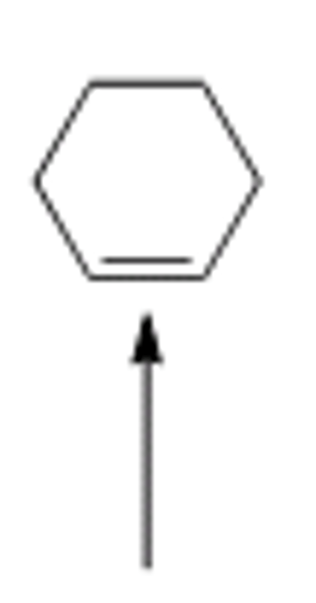 <p>C</p>