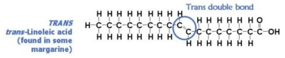<ul><li><p>Bad</p></li><li><p>AKA: Trans-linoleic acid</p></li><li><p>Hydrogens are on opposite sides</p></li><li><p>Found in: margarine</p></li></ul>