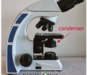 <p>condenser</p>
