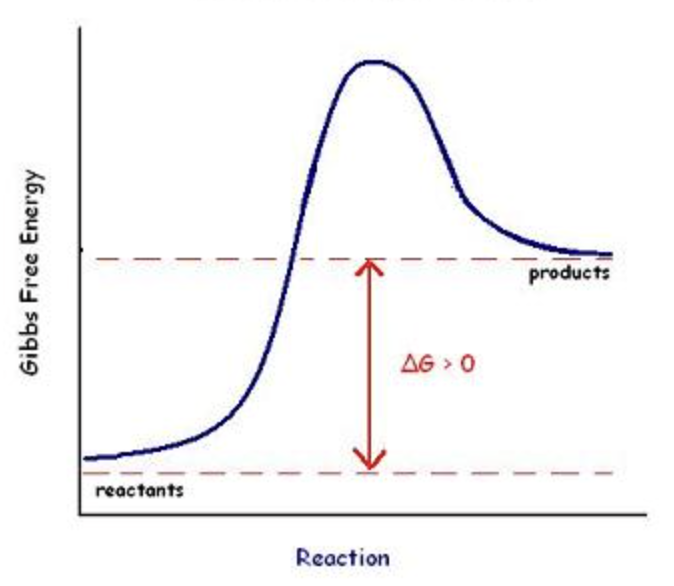 <p>Not Spontaneous ΔG>0</p>
