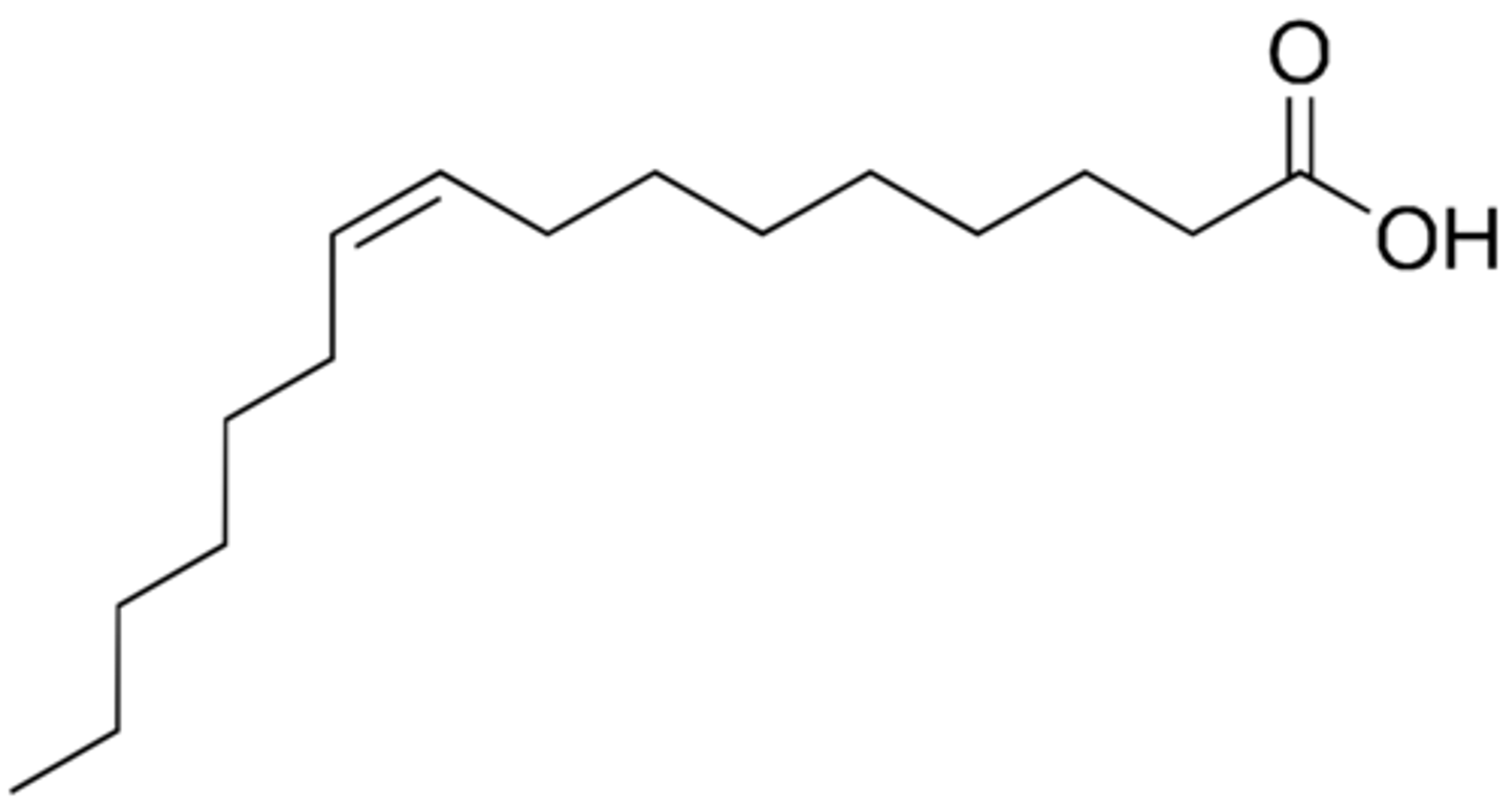 <p>16 carbons + DB C9</p>