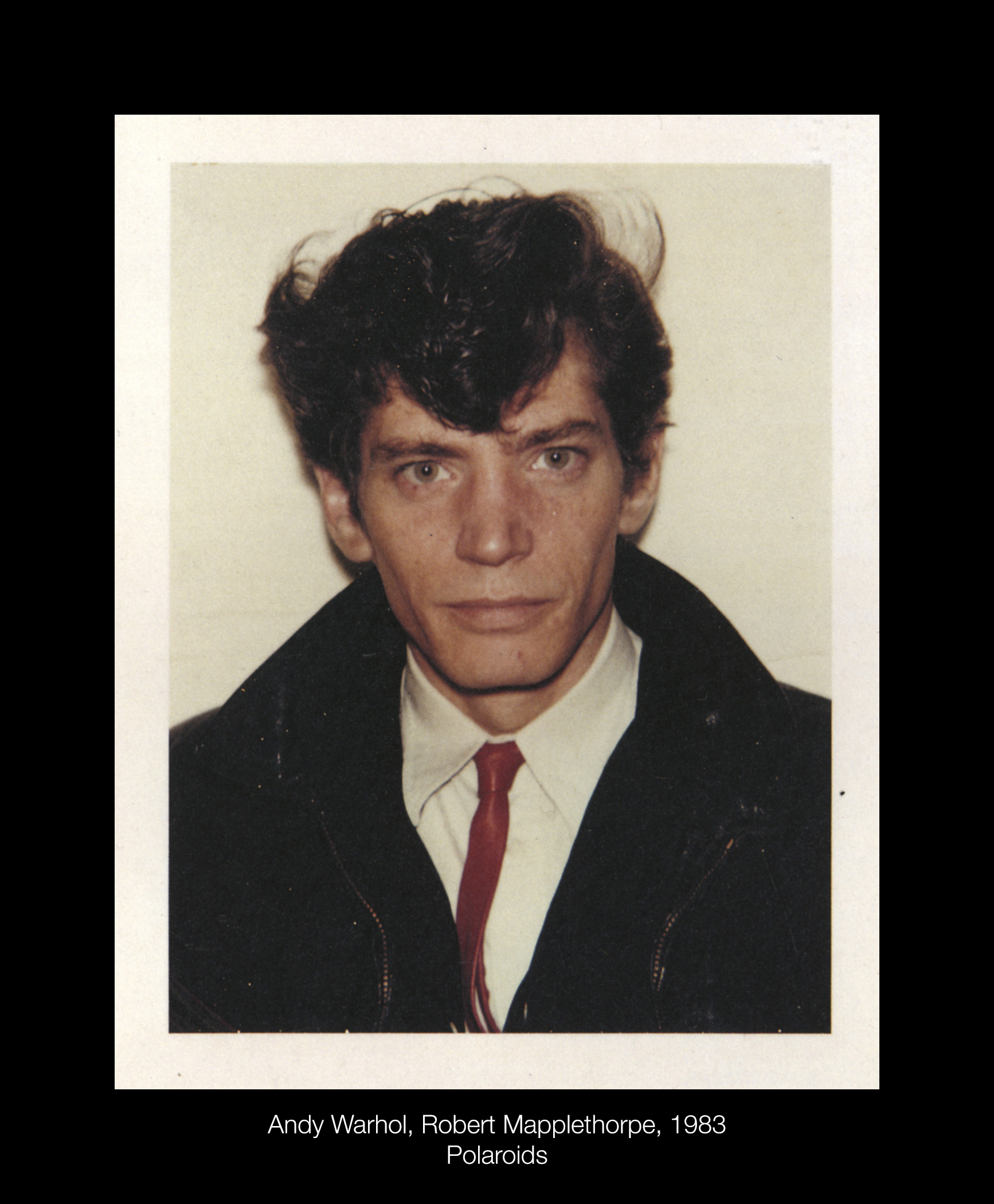 <p>Andy Warhol</p>