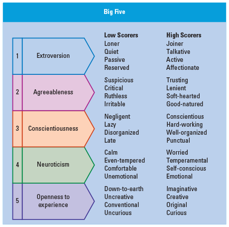 <p>Extroversion, Agreeableness, Conscientiousness, neuroticism, and openness to experience.</p>