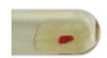 <p><strong>[GRADE THE REACTION]</strong></p>