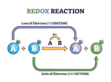 <p>Electrons are lost </p><p>Oxidation number increases </p><p>Also the reducing agent the thing that gets oxidized is doing the reduction </p>
