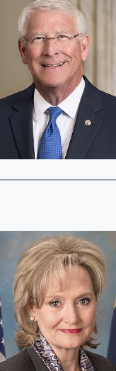<p></p>