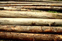 made of wood