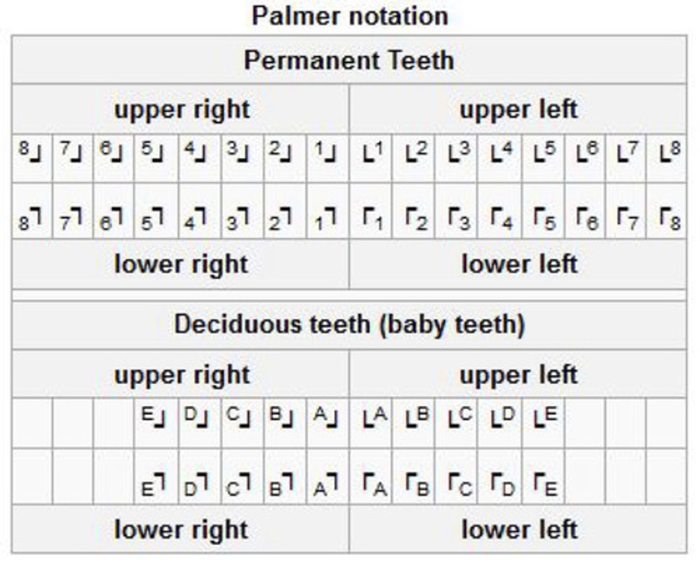 <p>quadrant is identified by bracket position</p><p>-teeth are numbered by distance from midline</p>