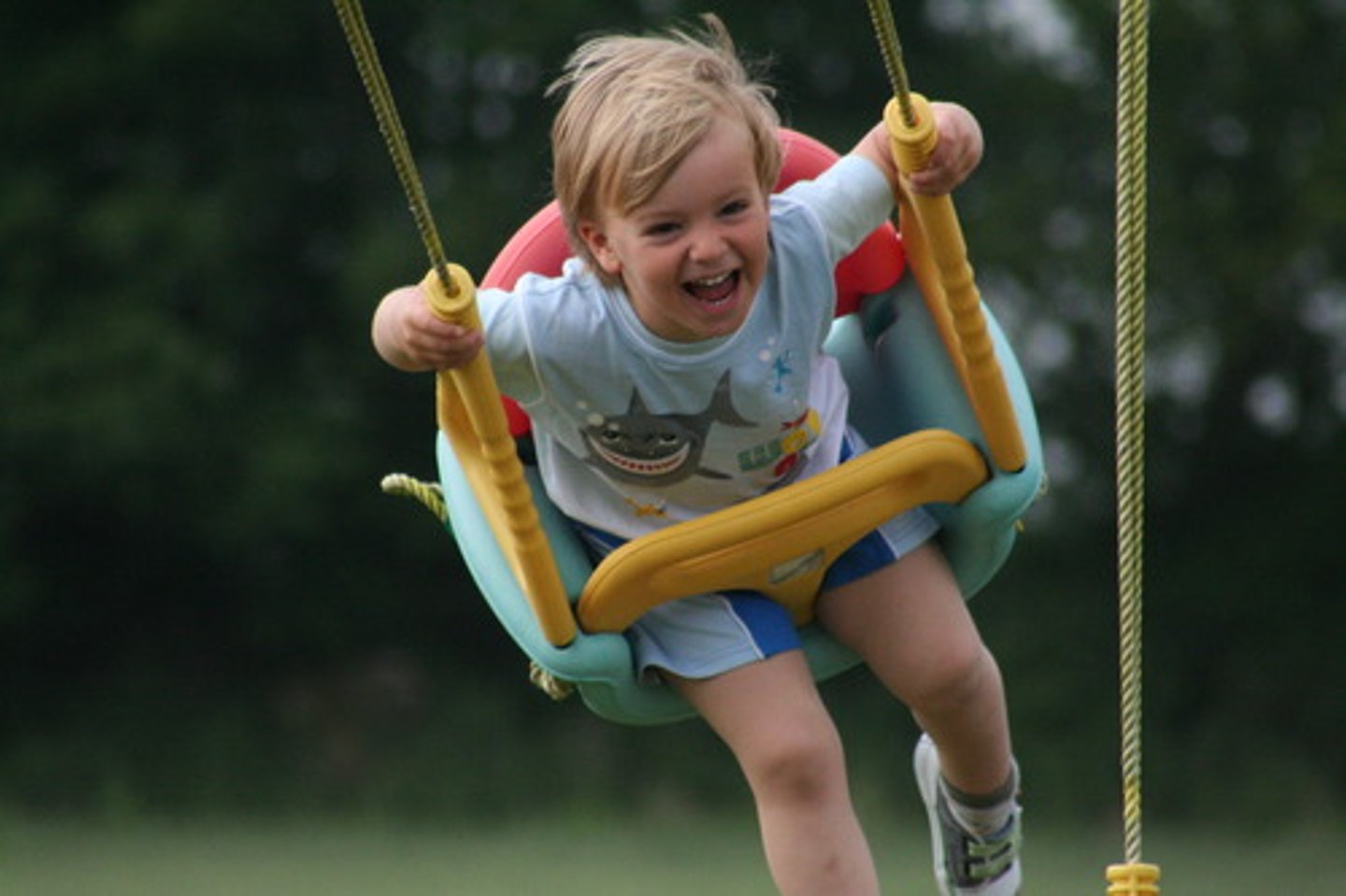<p>Overjoyed (ecstatic, thrilled)</p>
