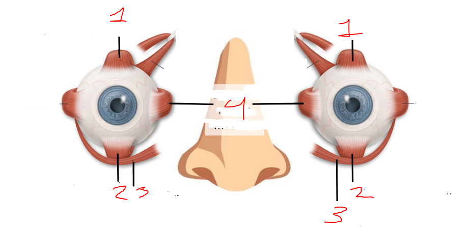 <p>what is 1?</p>