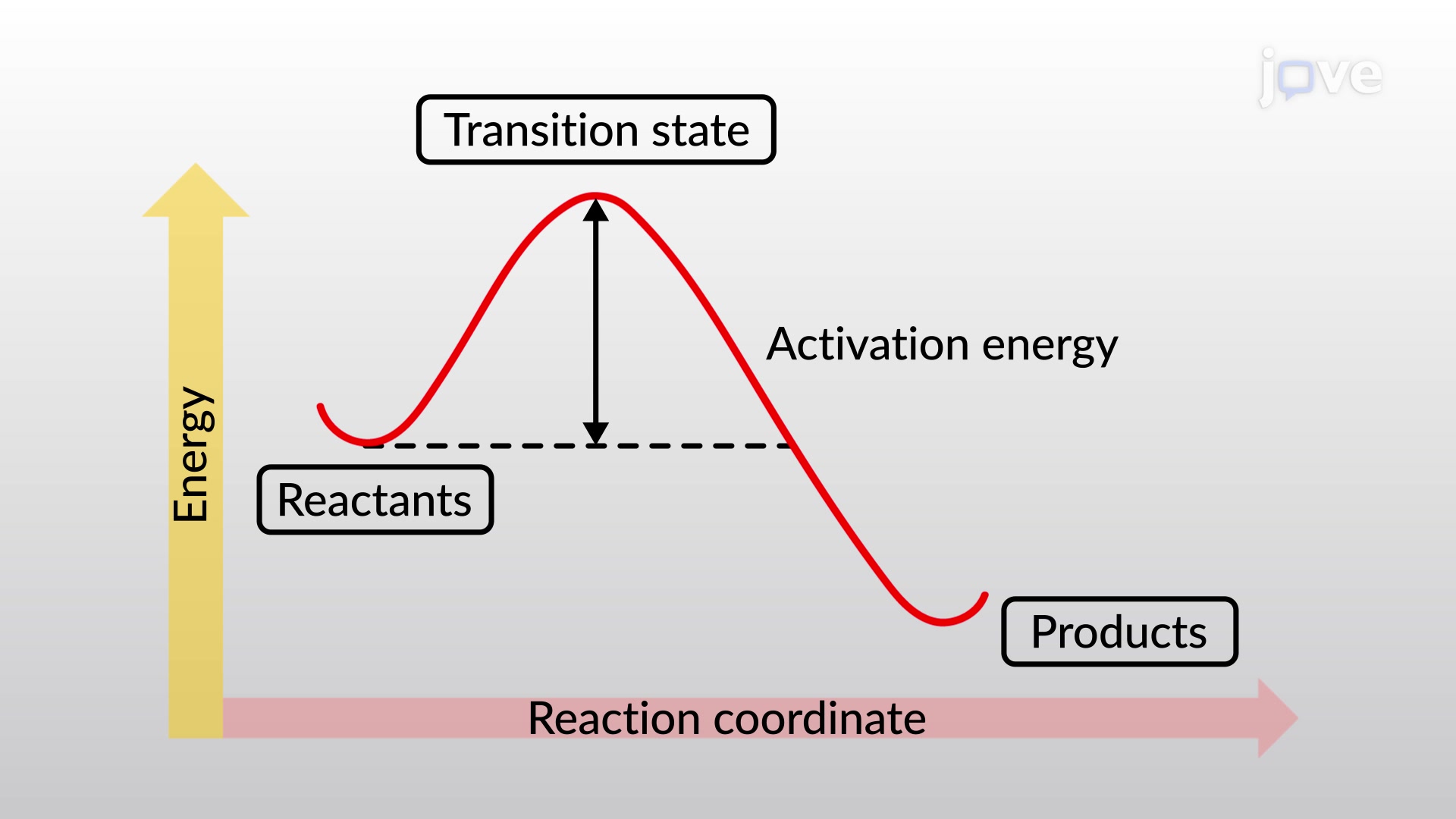 <ul><li><p>energy reactants need to overcome (energy difference between the reactant and transition state) </p></li></ul><p></p>