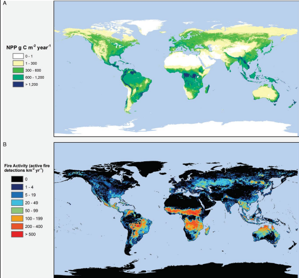<p>What does Fig 6.5 represent?</p>