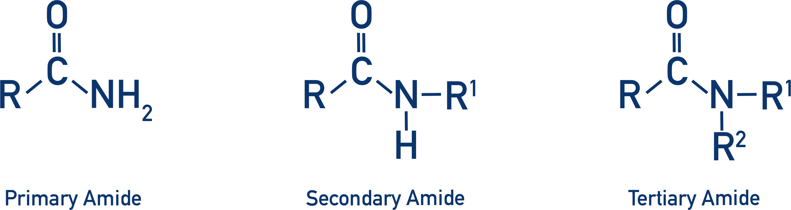 <p>nitrogen with a lone pair of electrons bonded to a carbon that is ALSO bonded to a carbonyl group (=O). can be primary, secondary, or tertiary</p>