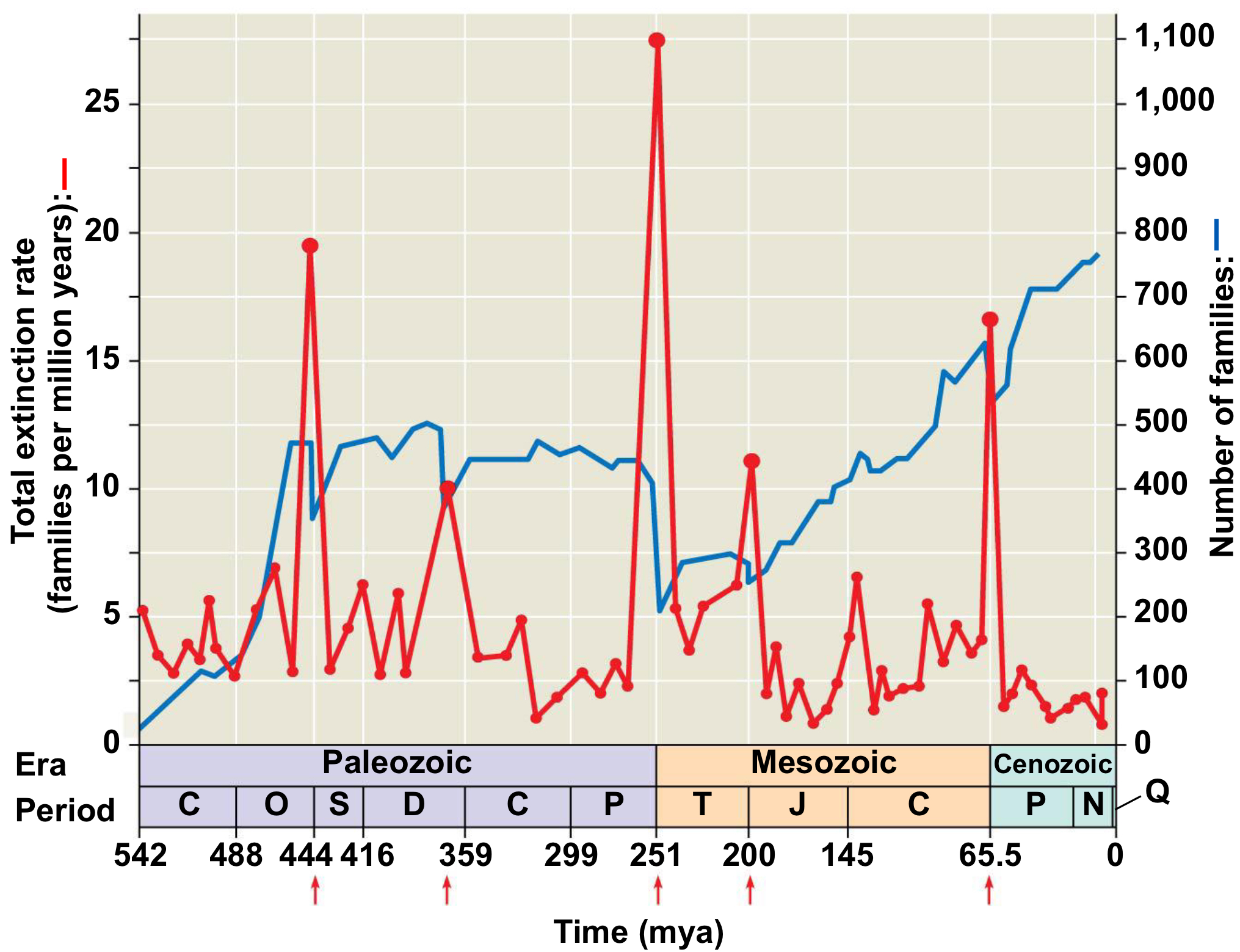 <p>Years: around 375-360 Mya</p><p>Extinction: 75%</p><p>What happened: <span>Rapid growth of land plants causes mass consumption of atmospheric carbon dioxide, which causes global cooling. Weathering plant roots release nutrients into the sea,</span><br><span>causing algal blooms and oxygen depletion</span></p>