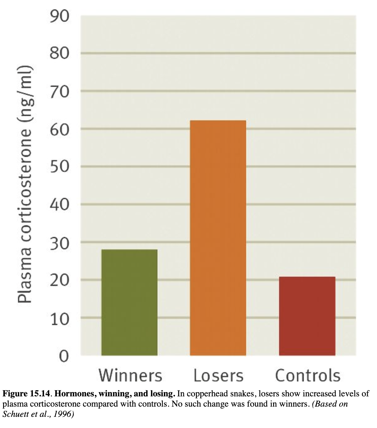 <p>-Methods: winners and losers from prior fights were matched against a same-sized opponent that had no experience</p><p>-Results:</p><ul><li><p>Winners were more likely to win again and losers were more likely to lose again</p></li><li><p>Plasma corticosterone levels were significantly greater in losers than in winners or controls</p></li></ul><p></p>