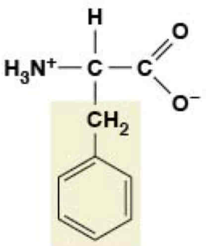 <p>Nonpolar (Hydrophobic)</p>