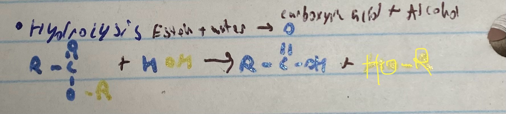 <p>ester + water —&gt; carboxyic acid + alcohol </p>
