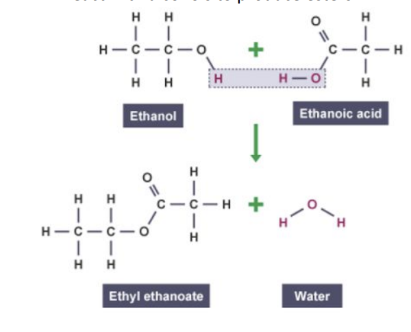 <p>Ethyl ethanoate</p>