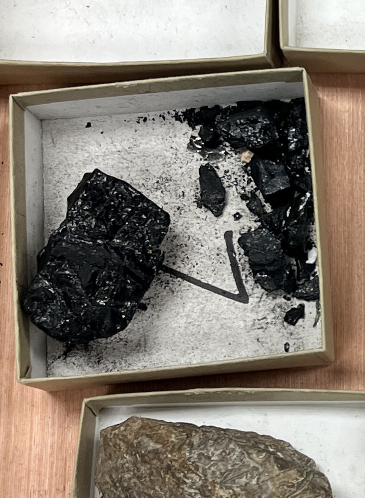 <p>Bituminous coal</p>