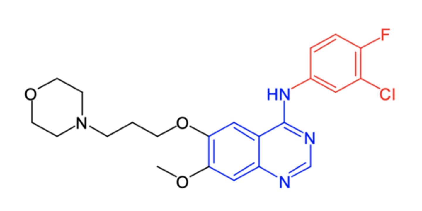 <p>(EGFR inhibitor -- RTKI)</p><p>ROA: oral</p><p>MOA: EGFR inhibitor </p><p>- first one launched</p><p>indication: 1st line for metastatic NSCLC w EGFR mutations detected by FDA approved test</p><p>ADME: 59% F, 6-49hr t1/2, hepatic excretion, 90% ppb</p><p>AE: rash (due to EGFR kinase specificity), diarrhea</p>