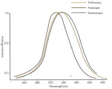 <p>Vlambda curve normally peaks at 555 nm so you shift in a person with anomalous shorter wavelengths&nbsp;(based on missing photopigment -nopia) </p>