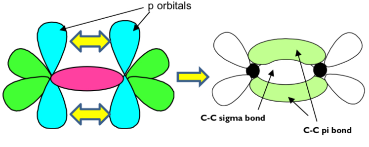 <ul><li><p>by a sideways overlap of 2 p-orbitals on each carbon atom</p></li><li><p>this forms a pi bond above and below the plan of the molecule</p></li><li><p>the pi bond is weaker than the sigma bond</p></li></ul><p></p>