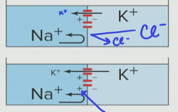 <p>What kind of gradient is this?</p>