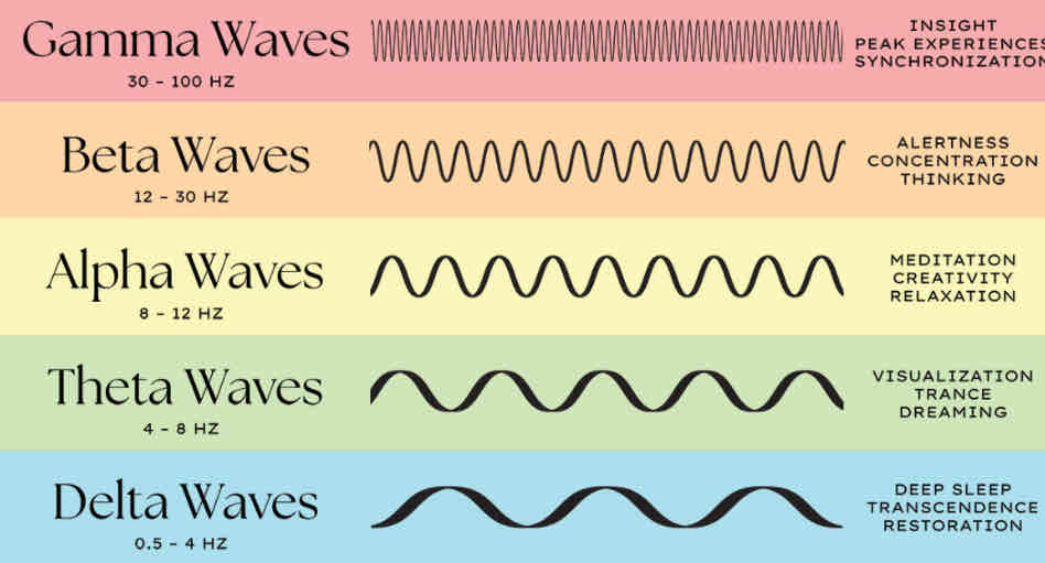 <p>Delta Waves</p>