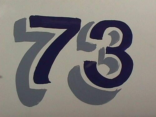 <p>73</p>