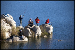 to fish