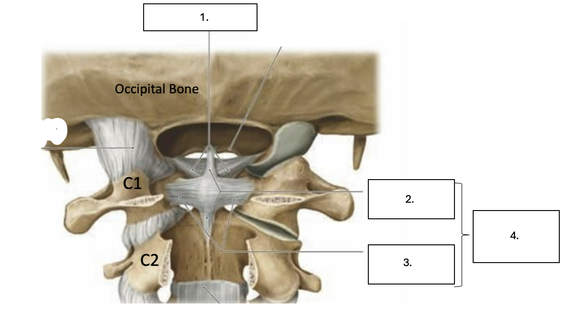 <p>What is number 4?</p>