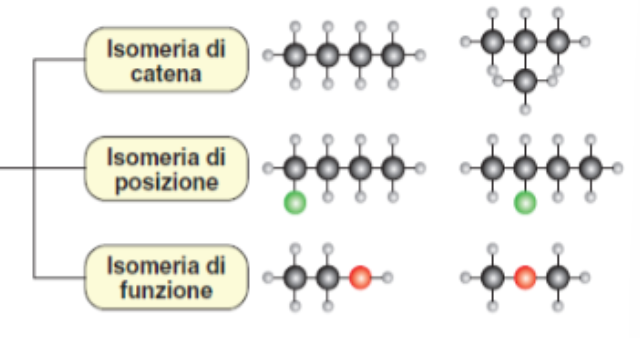 <ol><li><p>Isomeri di catena - hanno atomi di carbonio legati in modo diverso (catena lineare vs ramificata)</p></li><li><p>Isomeri di posizione - hanno atomi di carbonio legati ugualmente e lo stesso: gruppo fuunzionale o atomo sostituente (di idrogeno) o legame doppio/triplo, ma in posizione diversa</p></li><li><p>Isomeri di funzione - hanno gruppi funzionali diversi</p></li></ol><p></p>