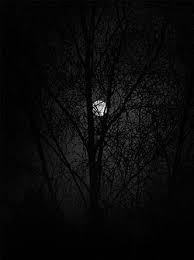 <p>il ne peut pas</p><p>Je ne peux pas rester éveillé après minuit</p><p>I can’t stay up past midnight on working days.</p><p></p><p></p>