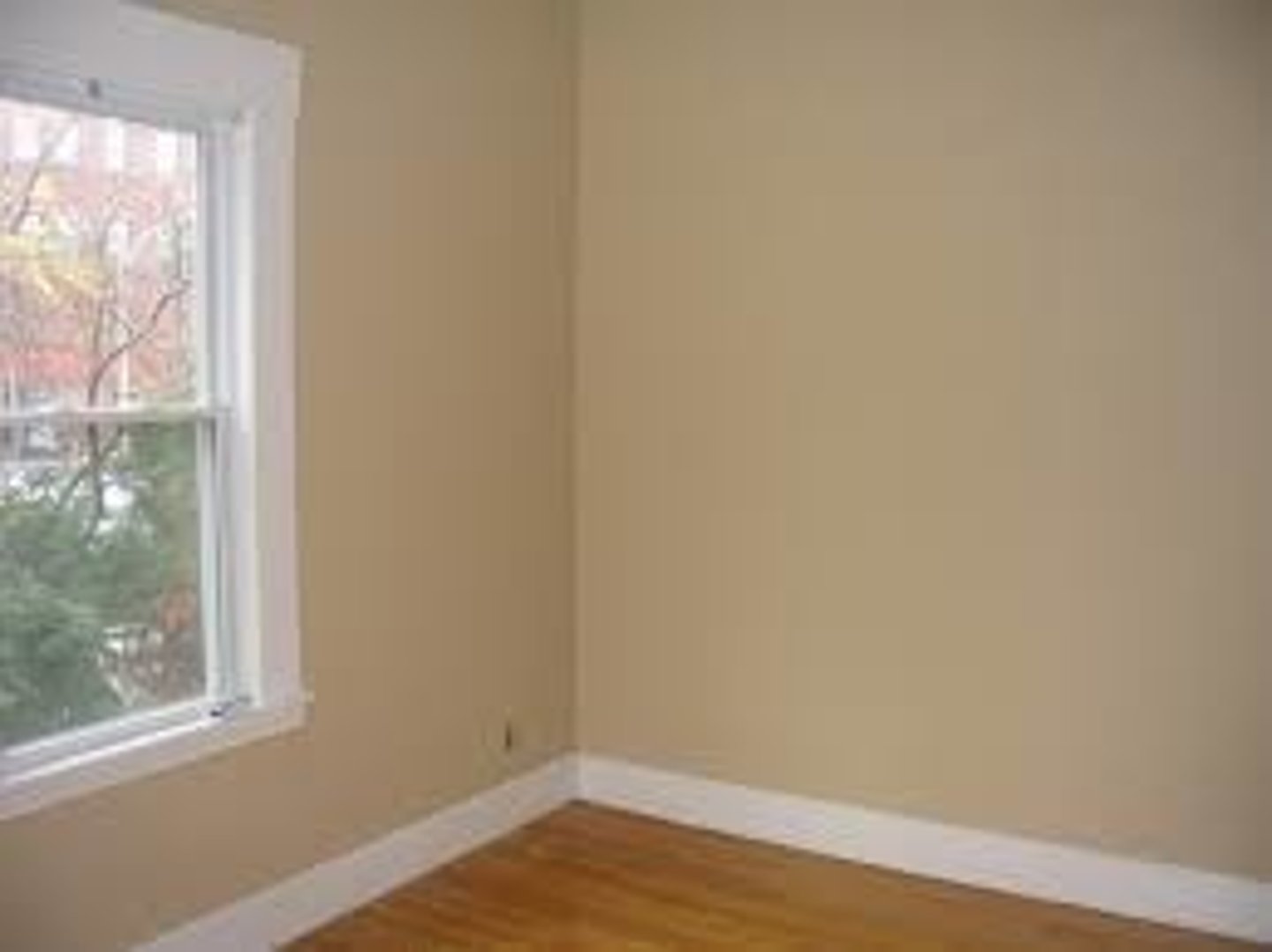 <p>wall</p>