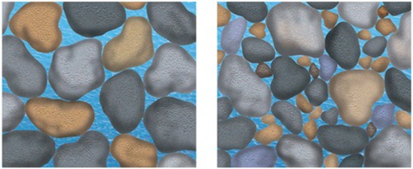 <p>The percentage of the total volume of a rock or sediment that consists of open spaces. (ability to hold water)</p>